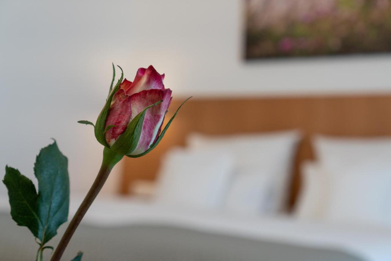Hotel Elysee ซิลิเงนชตัดท์ ภายนอก รูปภาพ